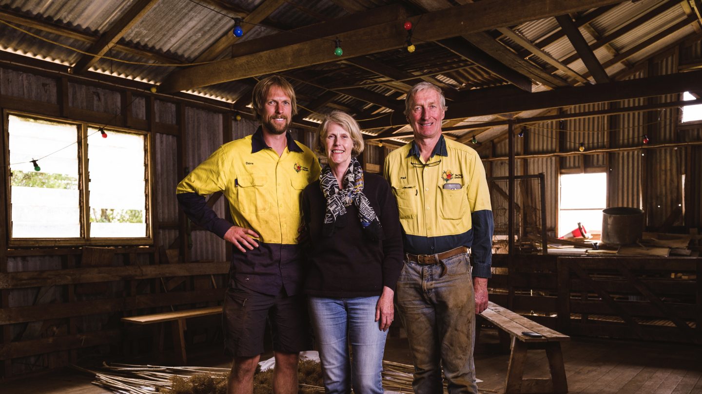 A Life Amongst the Tulips. Meet Tassie Tulip Farmer Dave Roberts